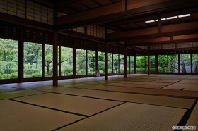 茶会館(春)の写真