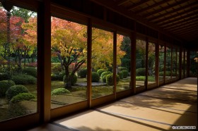 茶会館(秋)の写真